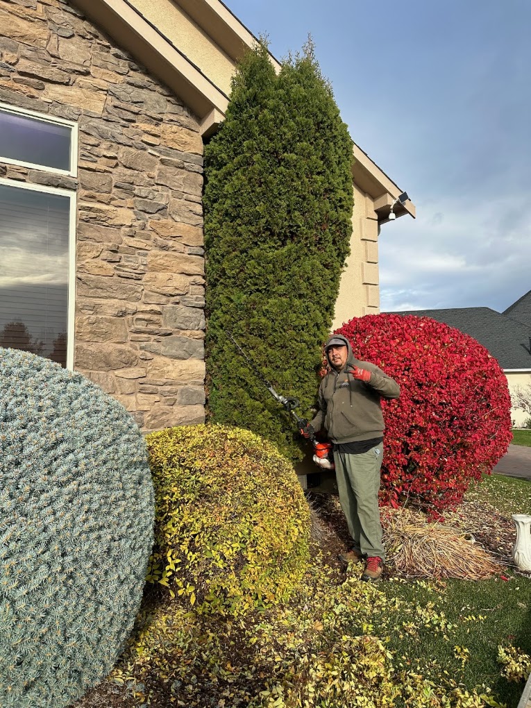 Hedge Shaping
